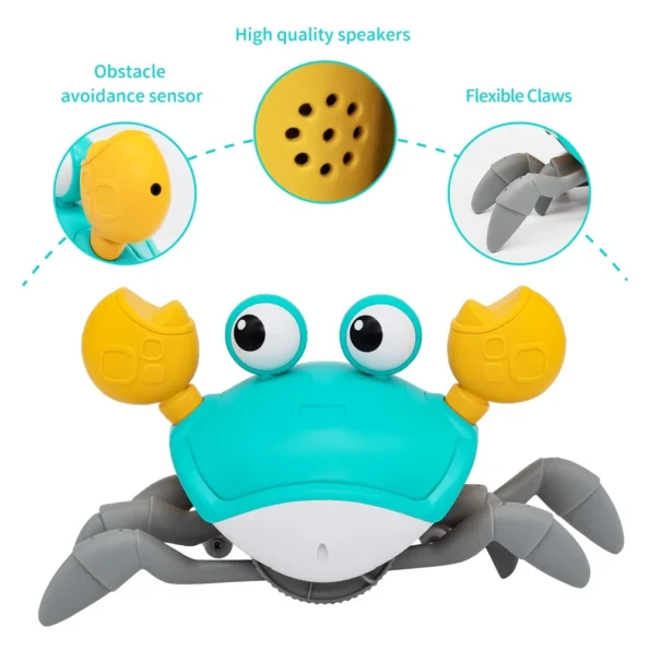 Dancing Crab Run Away Interactive Toy 4